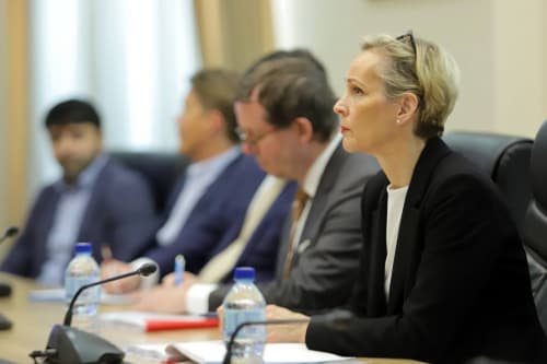 Uzbekistan and Sweden Discuss Ways to Expand Investment Cooperation