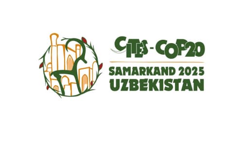 Открыта регистрация на 20-е заседание Конференции сторон CITES COP20