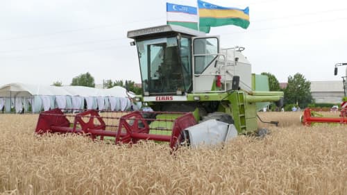 В Каракалпакстане выполнен план по зерну!
