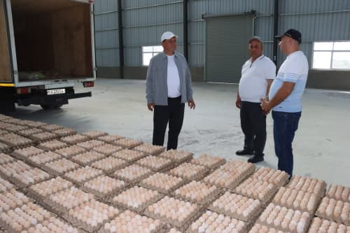 Қоровулбозор: "Vigour Export" корхонаси Афғонистонга тухум экспорт қилмоқда